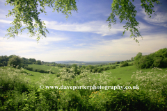 Summer view over the Cotswold hills, Broadway