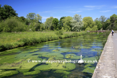 Summer view of the River Coln, Bibury village