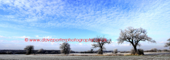 Winter scene, Fenland fields near Whittlesey town