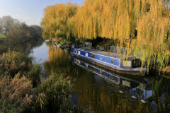 Narrowboats on the river Nene, March town, Cambridgeshire; England, UK