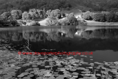 Reflections in Loughrigg Tarn, Lake District