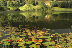 Reflections in Loughrigg Tarn, Lake District