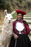 Peruvian woman and Alpaca, Cusco town, Peru