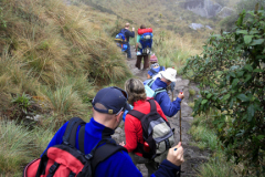 Walkers trekking down the Runcuracay Pass, Inca Trail