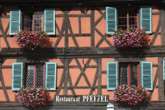 Colourful shutters and flowers in Colmar  France