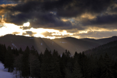 Sunrise, Black Forest at Feldberg Germany